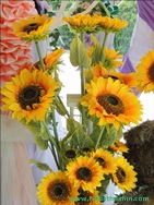 ҹѴ͡Թ Shanel LK Flower Hua Hin Thailand